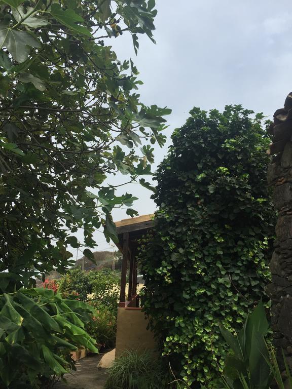 Casa Rural Las Rosas Agulo Exteriör bild